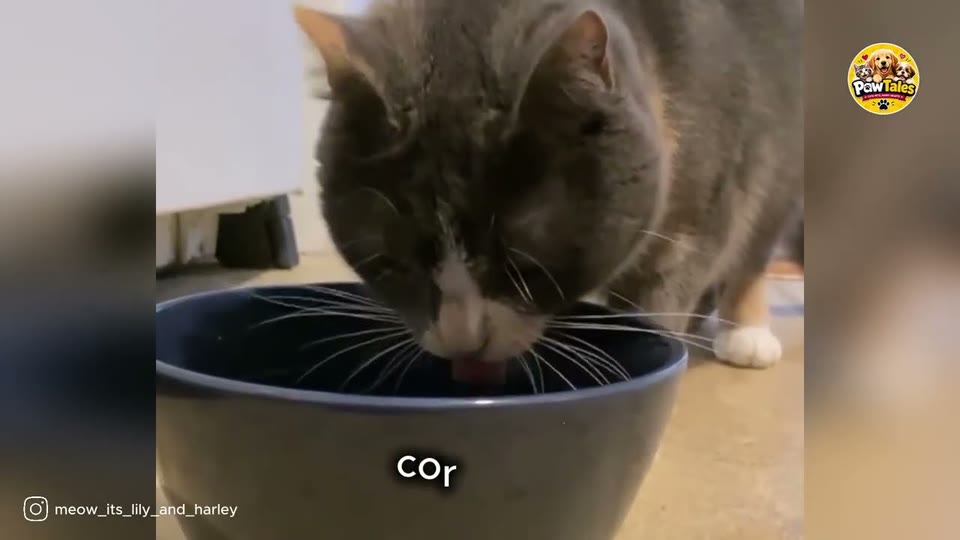 Video frame for A Confusing Reality