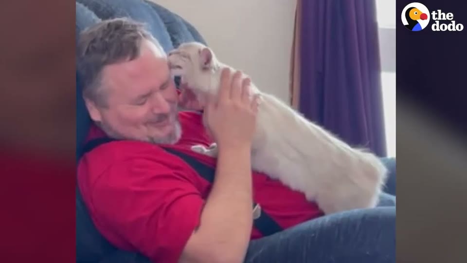 Video frame for A Desperate Call For Help