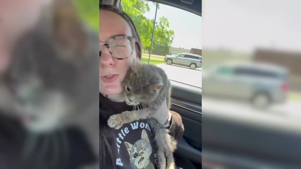 A woman with glasses holding a scruffy grey cat in her arms while sitting inside a car.