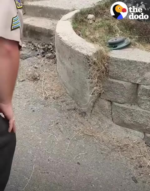 A close-up of a first responder in a tan uniform standing next to a curved concrete retaining wall on a paved path.
