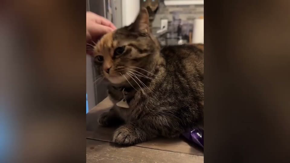 Video frame for A Frightening Diagnosis