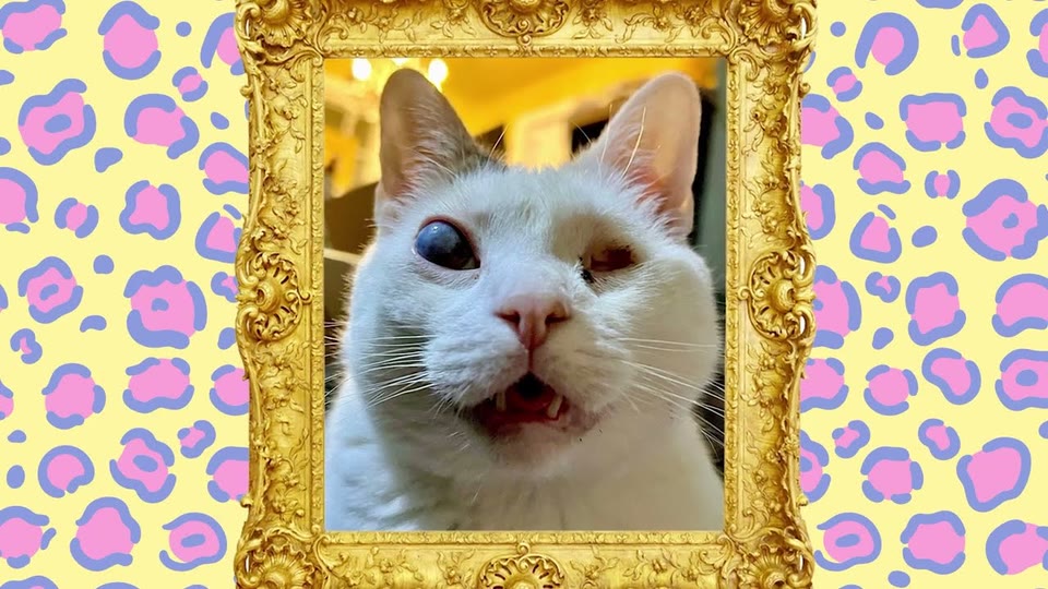Video frame for A Hilarious First Impression