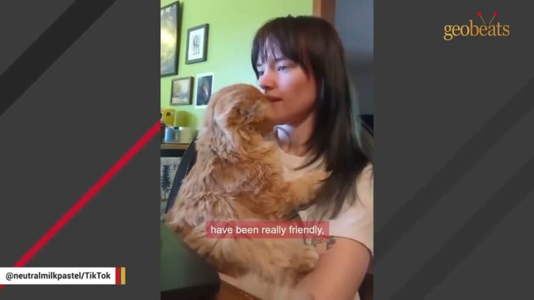 Texas Woman Takes In A Scared Farm Stray And His Endearing Quirks Change Her Life Completely