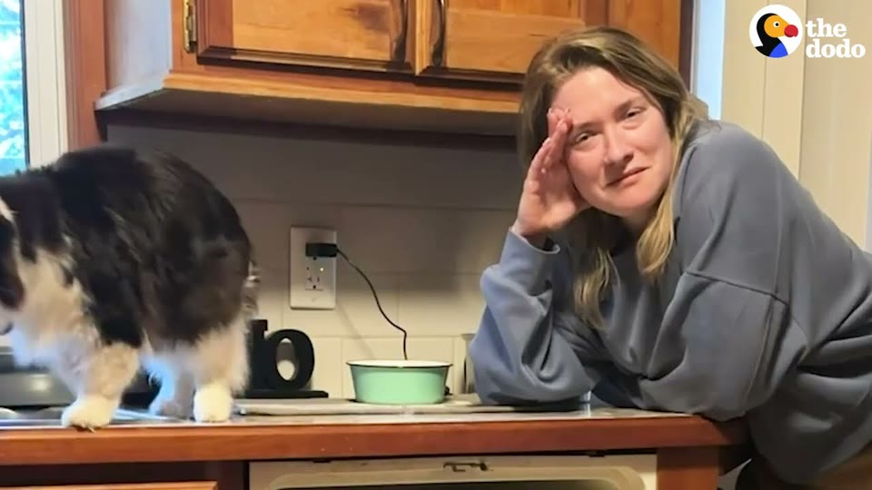 Video frame for A Mischievous Streak