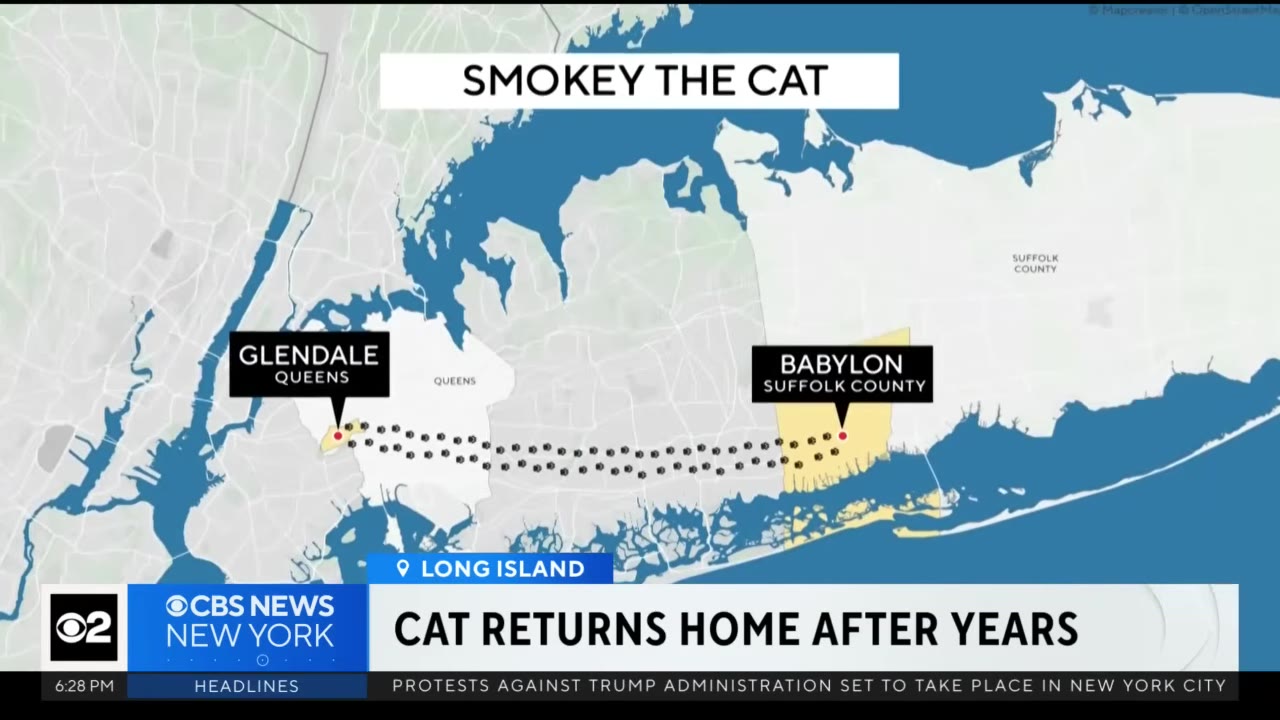 A map graphic showing the journey of Smokey the Cat from Glendale, Queens to Babylon, Suffolk County on Long Island, with a trail of paw prints connecting the two locations.