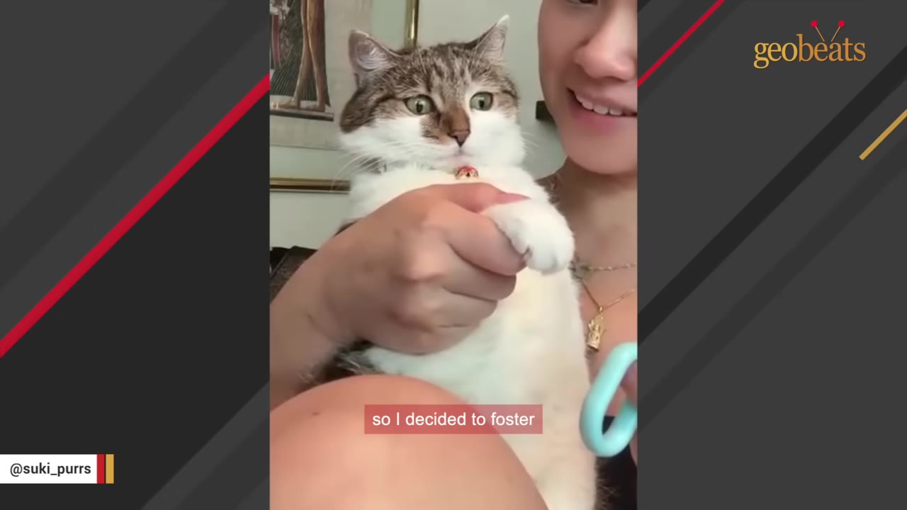 A smiling young woman holds a brown and white cat close to her chest, gently holding its front paw.