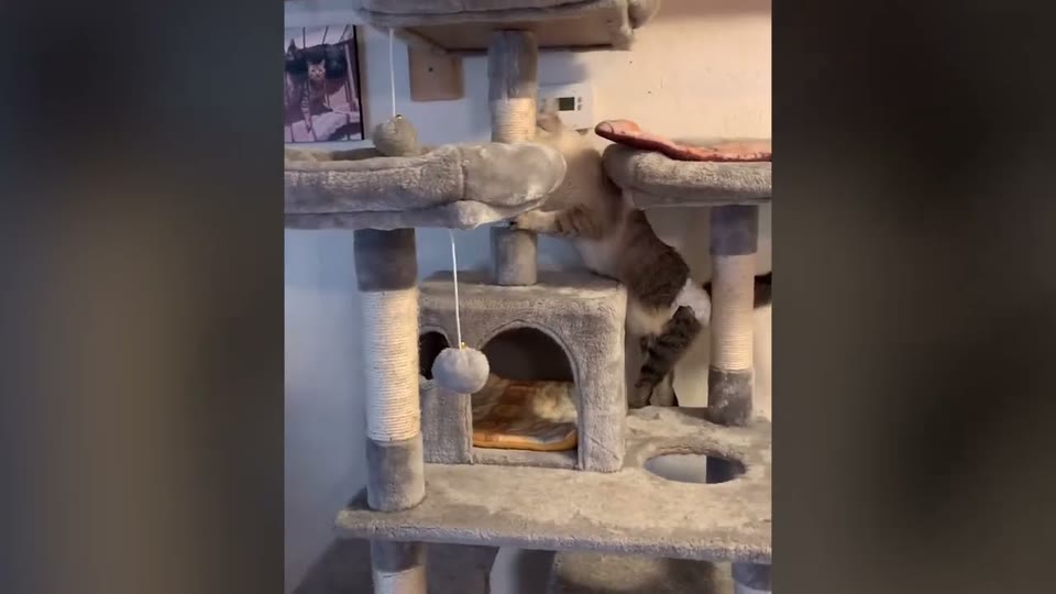 Video frame for A New Way to Move