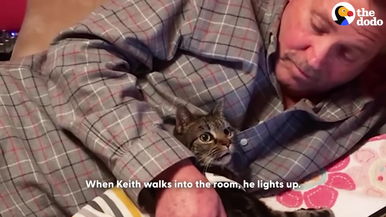 A tabby cat looks up with wide, bright eyes at a man in a plaid shirt who is holding him close.
