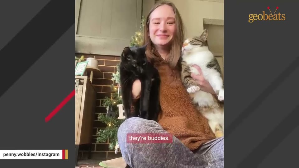 Video frame for A Temporary Stay Becomes Permanent