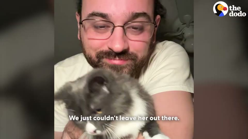 Video frame for A Tiny Shadow