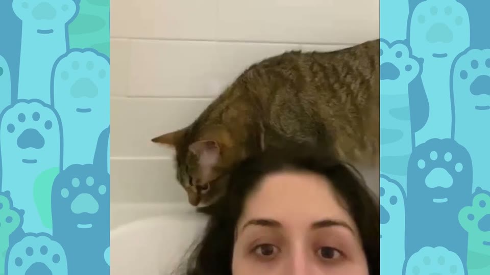 Video frame for A Unique And Endearing Face