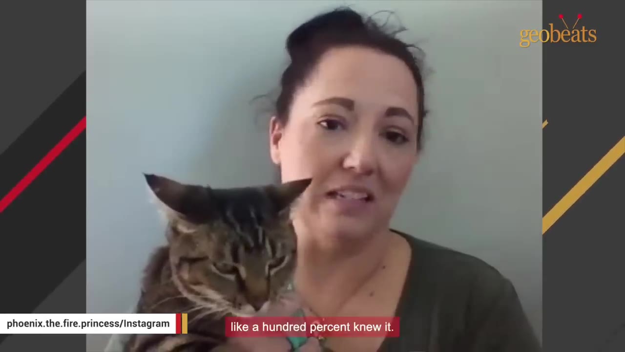 A woman with dark hair tied back holds a tabby cat close to her chest while speaking.