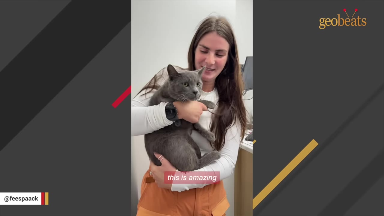 A woman in a white long-sleeved shirt holds a grey cat in her arms inside a clinic.