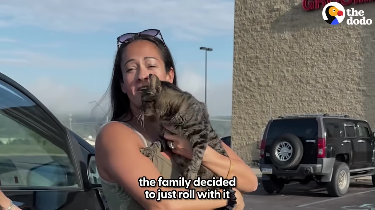 A woman with sunglasses on her head holds a tabby cat in her arms in a parking lot in front of a store building.