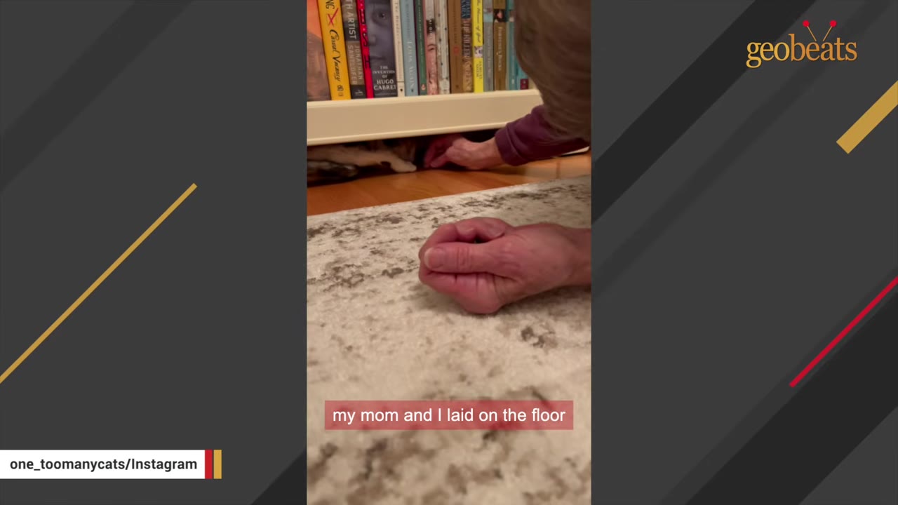 A person lies on a rug, reaching their hand under a low bookshelf where a cat is hiding.