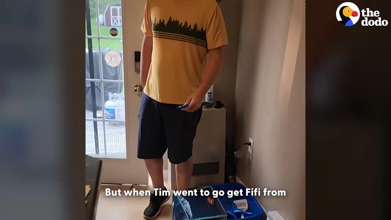 A man in a yellow t-shirt and dark shorts stands near a glass door, preparing to leave with a blue pet carrier on the floor.