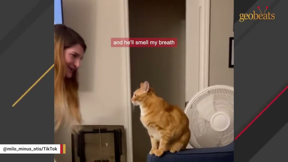 Video frame for Claiming His Spot