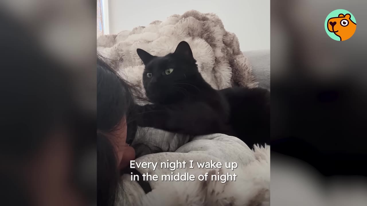 A black cat lies on a person's chest, looking at them with green eyes.