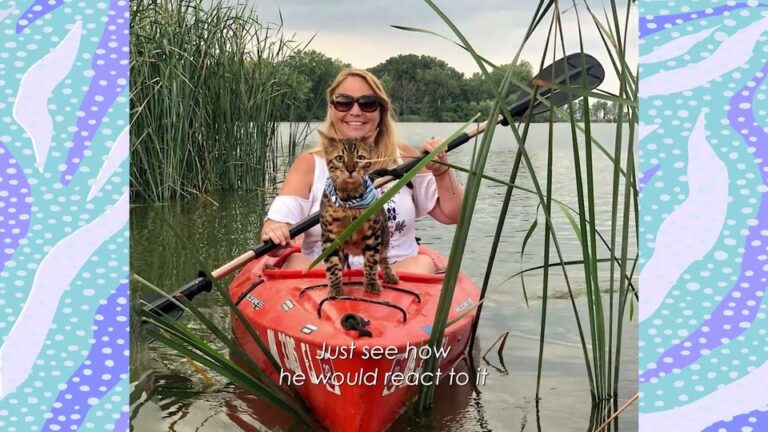 Ohio Cat Takes To The Water And Leaves Onlookers Completely Stunned