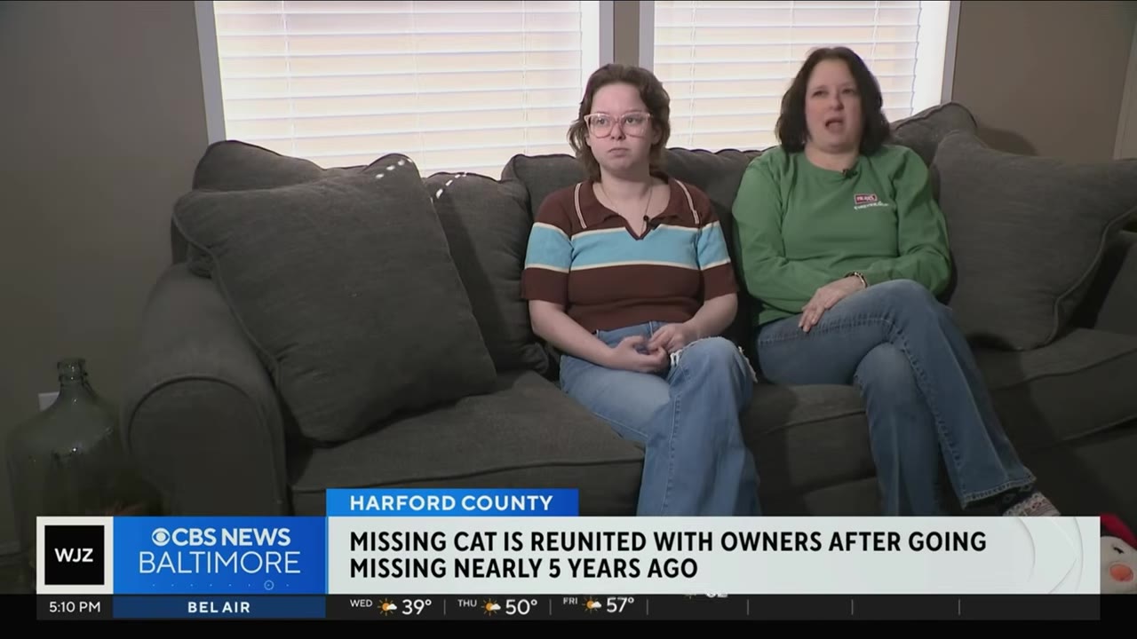 Two women sit on a grey couch looking somber during an interview, with a news banner below stating a missing cat was reunited with its owners after nearly 5 years.