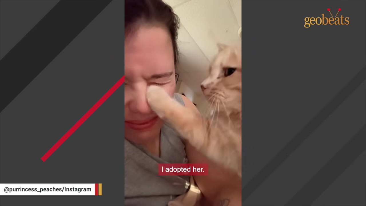 A close-up shot of a woman smiling with her eyes closed as a light orange cat gently places its paw on her face, with a subtitle that reads 'I adopted her.'