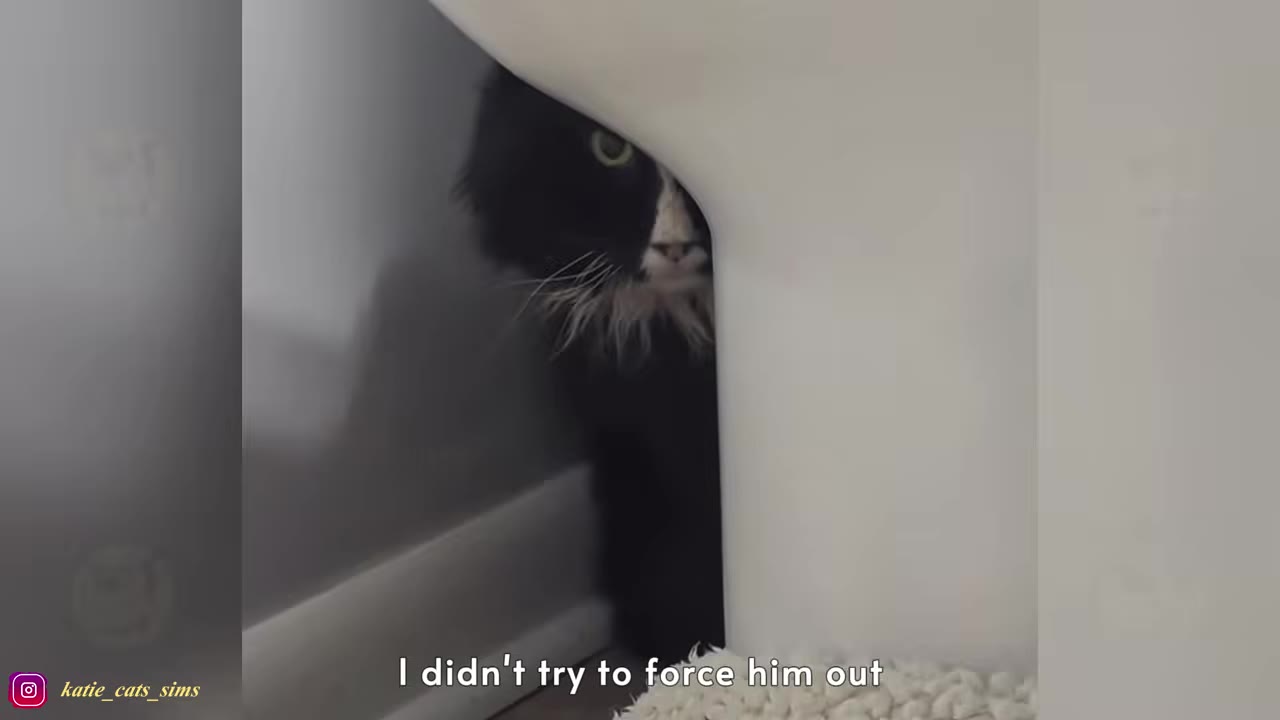A black and white cat peeking out warily from behind a white bathroom fixture.