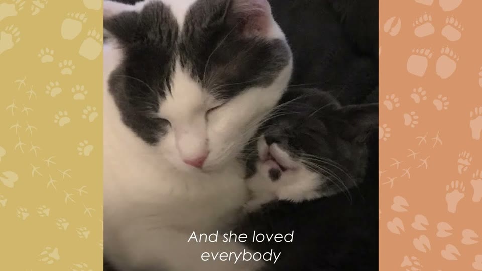 Video frame for Love At First Sight