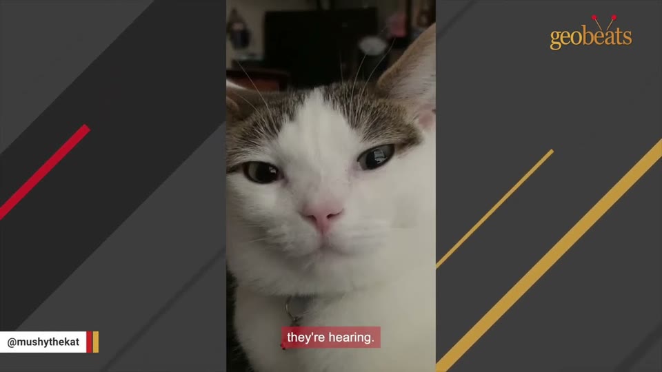 Video frame for Meeting Her Match