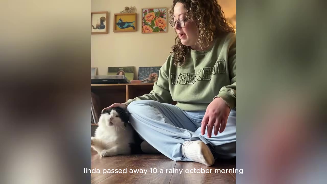 A woman with curly hair and glasses sits on the floor wearing a green sweatshirt, petting a black and white cat that is leaning against her leg.
