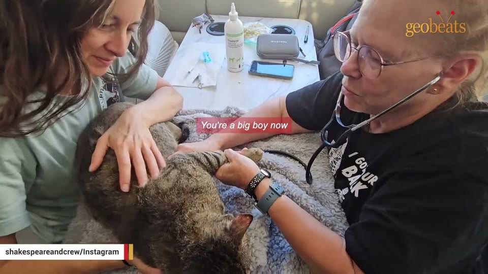 Video frame for One Person Stops To Help