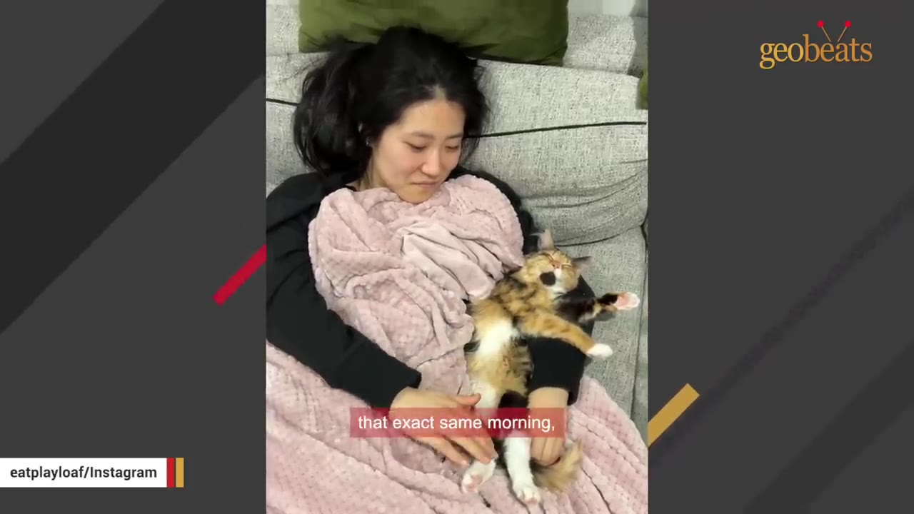 A woman lies on a couch under a pink blanket, holding a calico cat that is sleeping on its back in her arms.