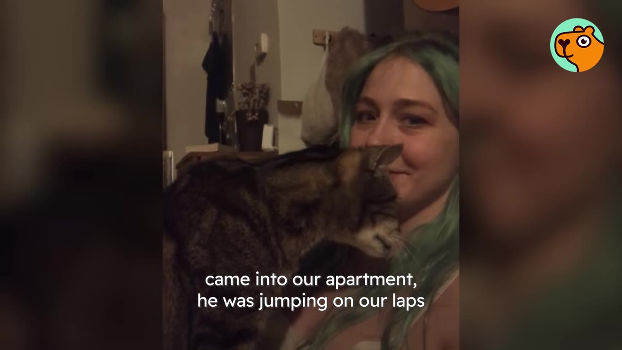 A tabby cat nuzzles the face of a smiling woman with green hair.