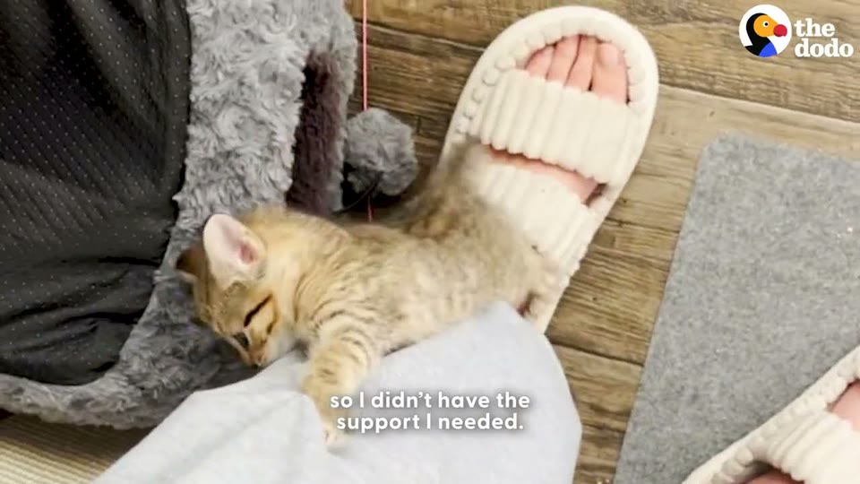 Video frame for Sleeping With One Eye Open