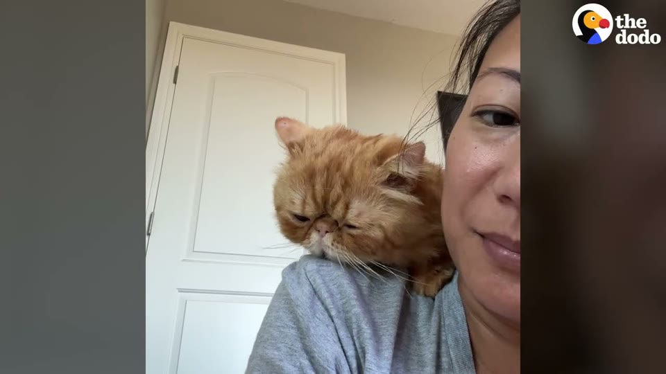 Video frame for Stepping Up to Foster