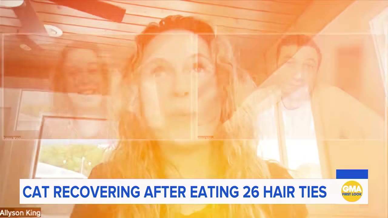 A video call screen showing Allyson King, with a news banner at the bottom reading 'CAT RECOVERING AFTER EATING 26 HAIR TIES'.