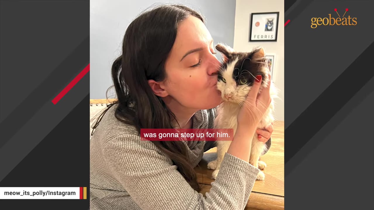 A woman with long dark hair kisses a fluffy black and white cat on the cheek while holding its face gently.