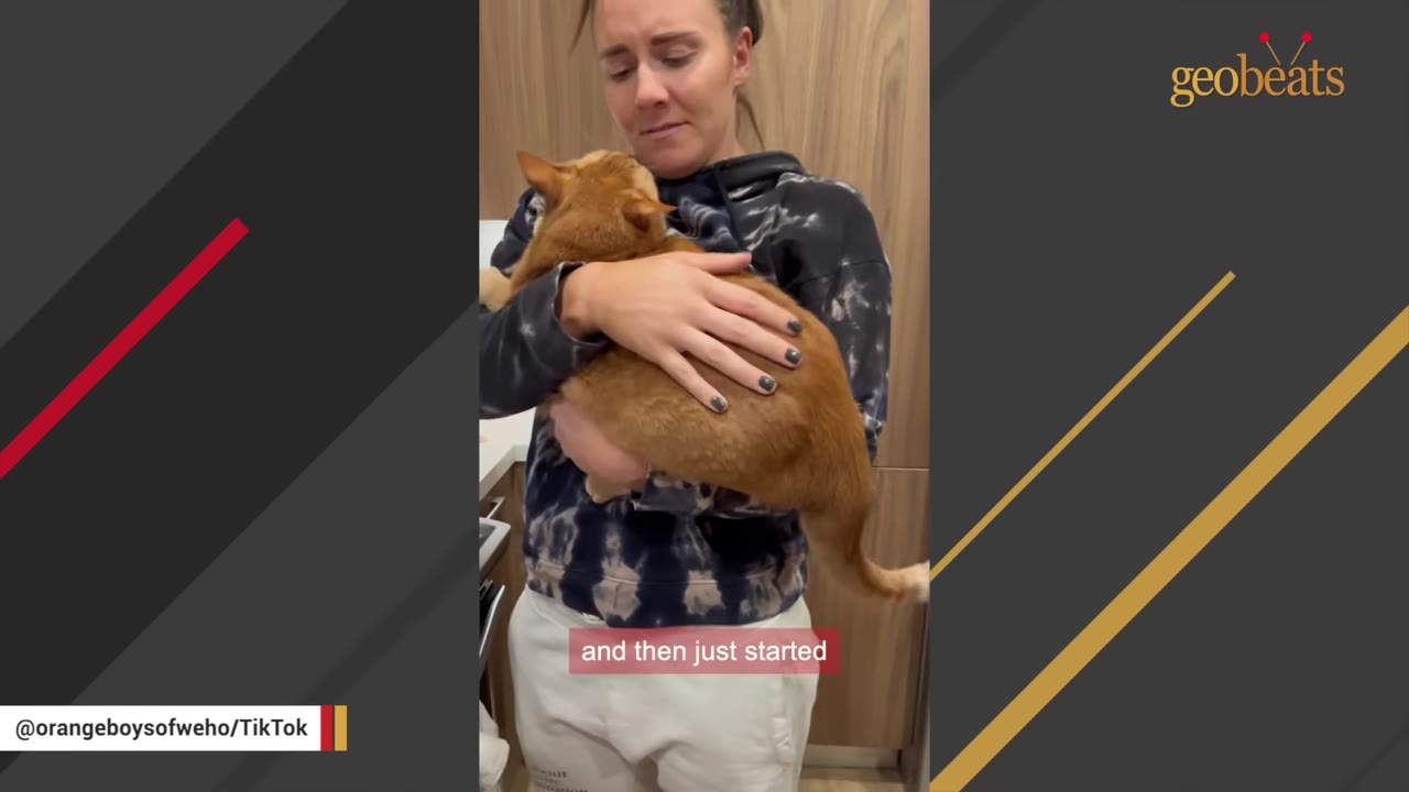 A woman cradling a large orange cat in her arms like a baby.