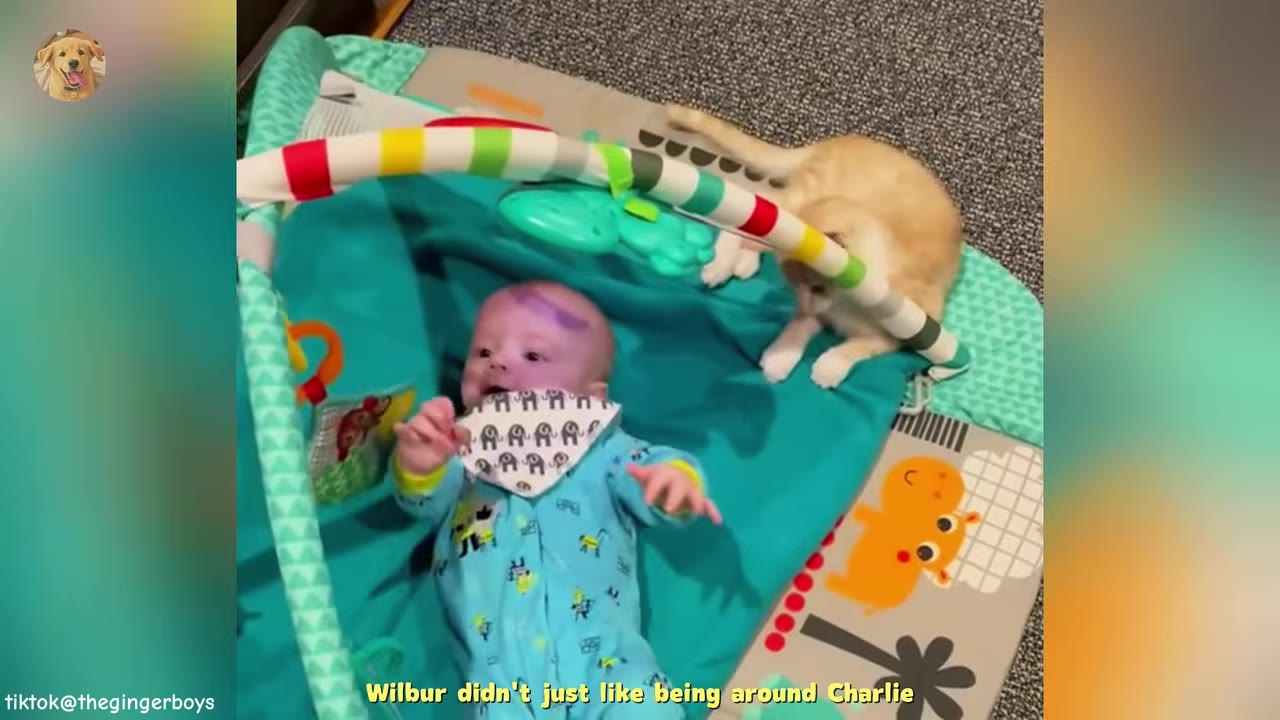 An orange kitten stands on a colorful baby play mat next to a baby lying on his back.