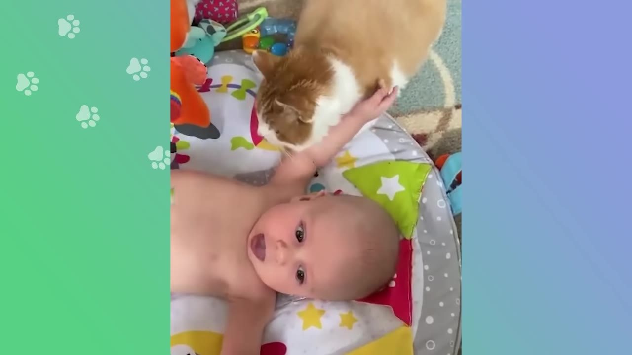 An orange and white cat gently approaches a newborn baby lying on a colorful play mat.