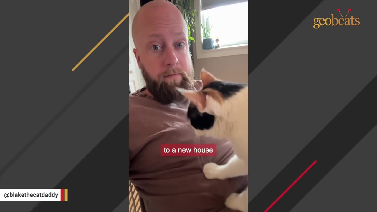 A bald man with a beard looks at the camera as a calico cat climbs onto his chest inside a house.