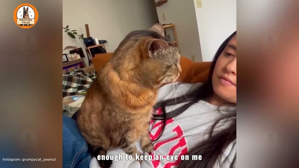 Video frame for The Morning Staredown