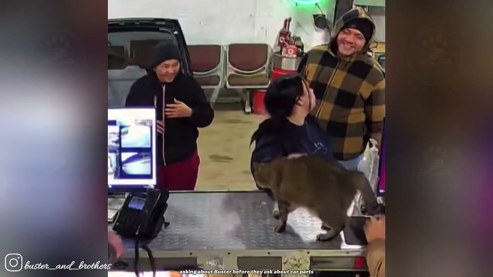 Video frame for The New Office Supervisor