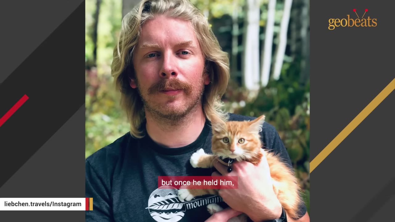 A man with long blonde hair and a mustache holding a small orange and white kitten.