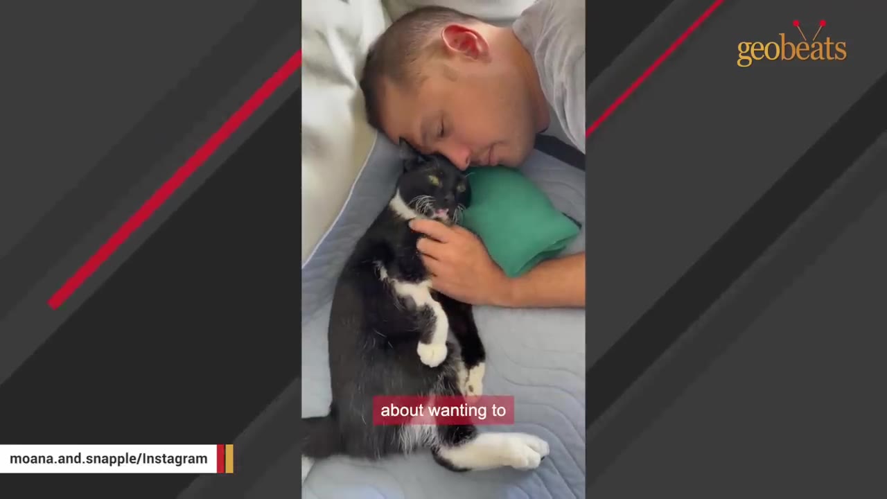 A man lying down on a bed next to a black and white cat, gently petting its neck.