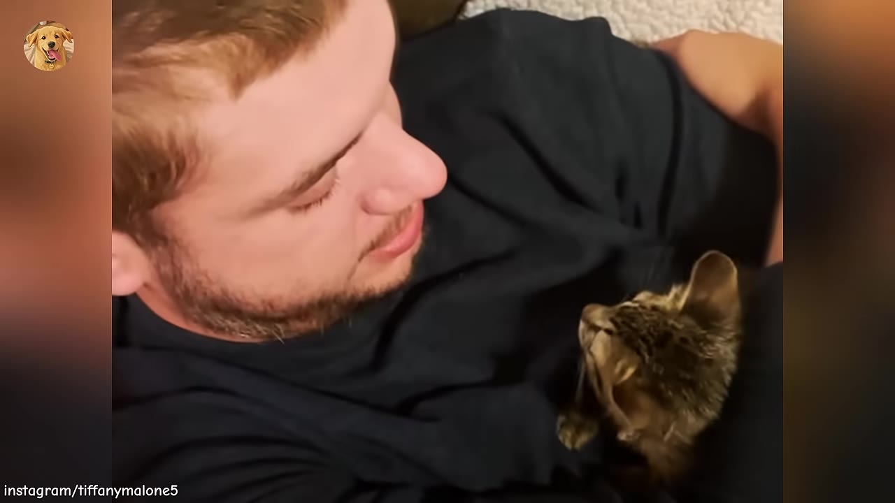 A man with a beard looks down affectionately at a tiny tabby kitten resting on his chest.