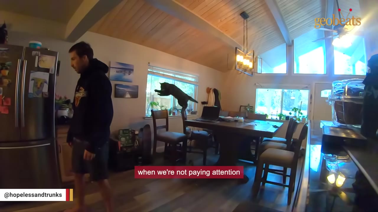A black cat leaps through the air from a dining chair towards a man standing in the kitchen.