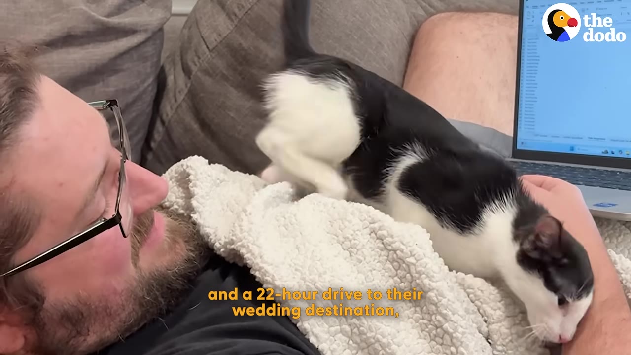 A man with glasses and a beard lies down with a black and white cat resting on his chest under a white blanket.