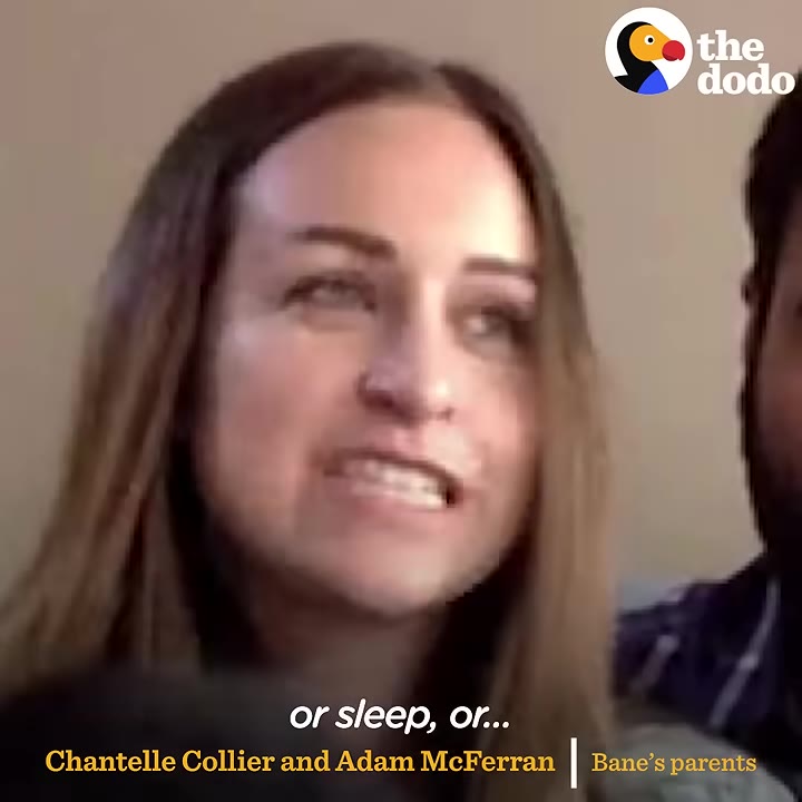 A close-up of Chantelle Collier speaking with a concerned expression.