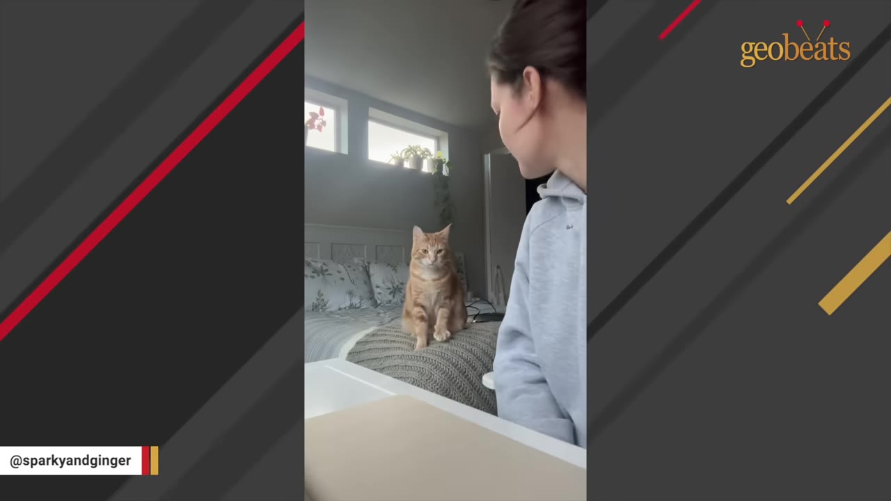 An orange tabby cat sits on a grey blanket on a bed, looking towards a woman in a grey hoodie who is looking back at her.
