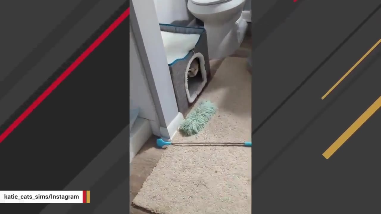 A small cat hiding inside a grey cat cave bed on a bathroom floor next to a toilet.